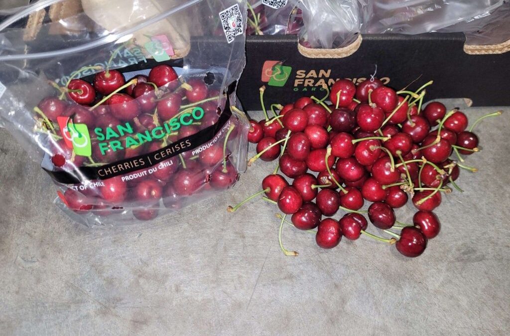 First chilean cherries of the season land in the US