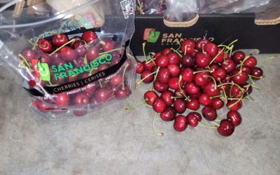 First chilean cherries of the season land in the US