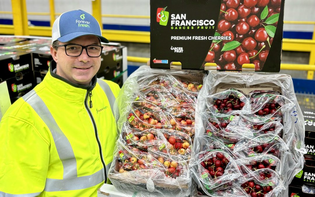 Record Exports of Chilean Cherries Set to Sweeten U.S. Shelves